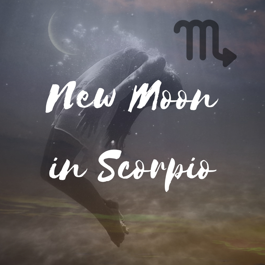 New Moon in Scorpio Anita D Marshall