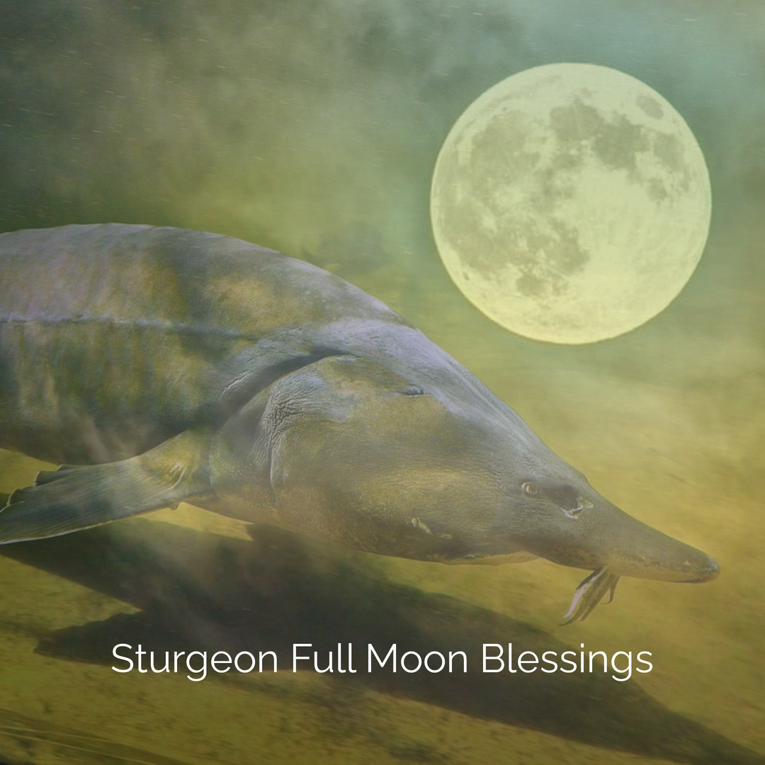 Sturgeon Moon (August Full Moon) Anita D Marshall